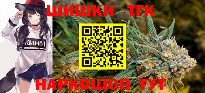 хмурый Камень-на-Оби