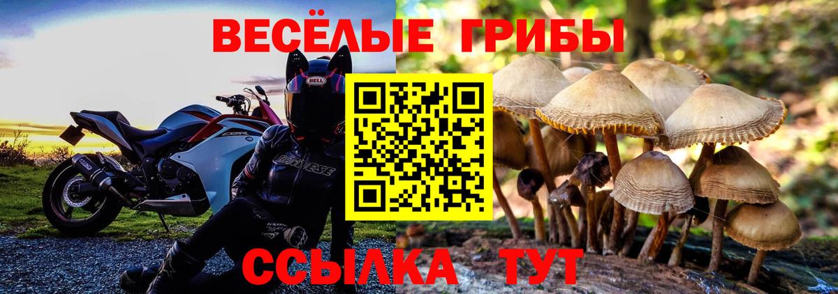 Галлюциногенные грибы MAGIC MUSHROOMS Губаха
