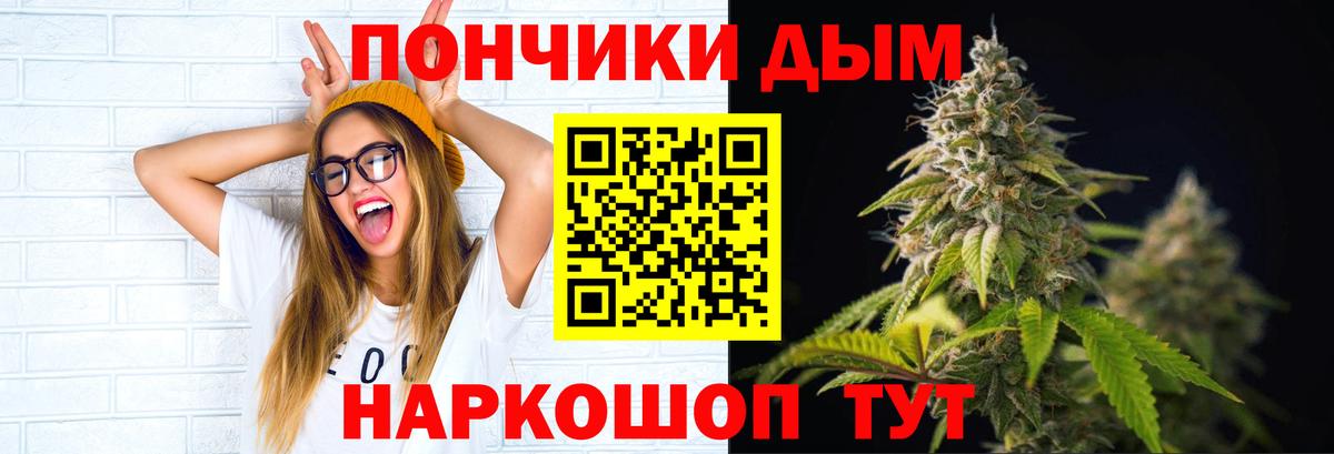 Канабис конопля Губаха
